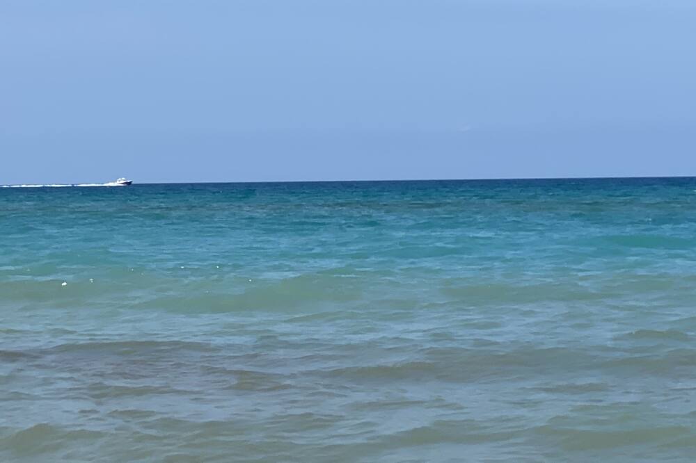 Photo of Others in Hutchinson Island South