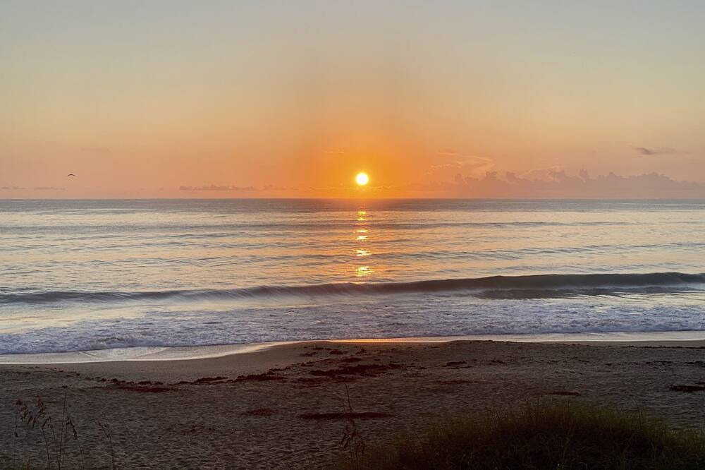 Photo of Others in Hutchinson Island South