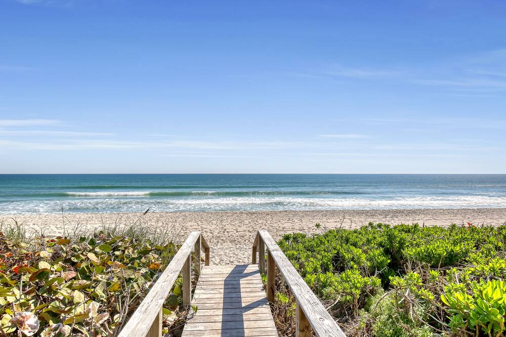 Photo of Others in South Patrick Shores