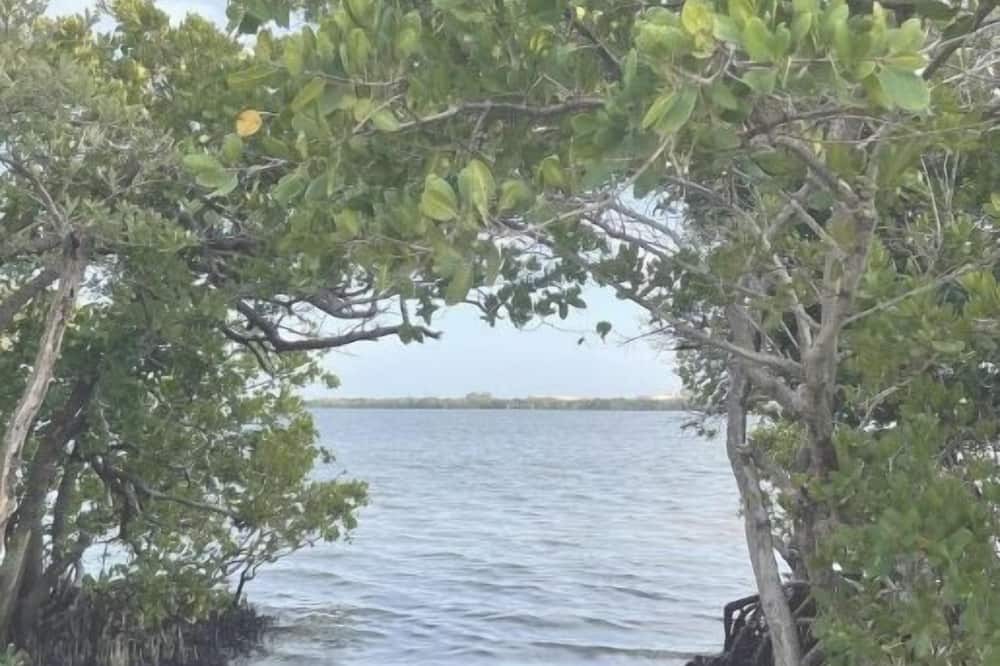 Photo of Others in St. Petersburg - Clearwater