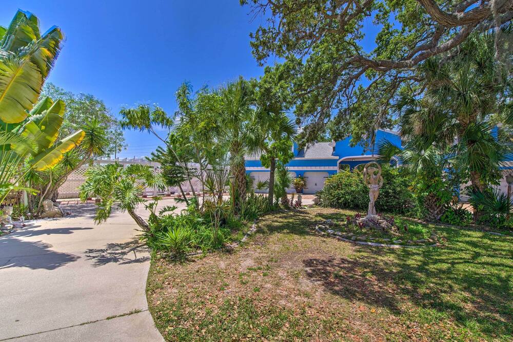 Photo of Outdoor in Tropic