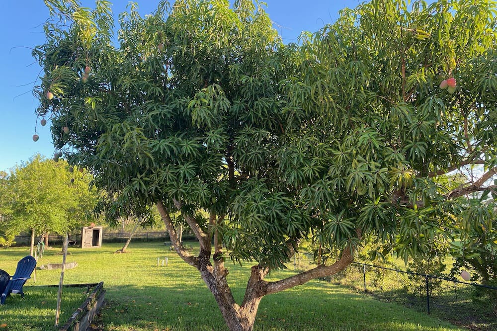 Photo of Outdoor in Indian River Estates