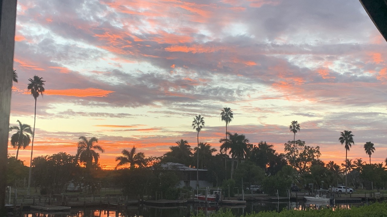 Photo of Others in Everglades City