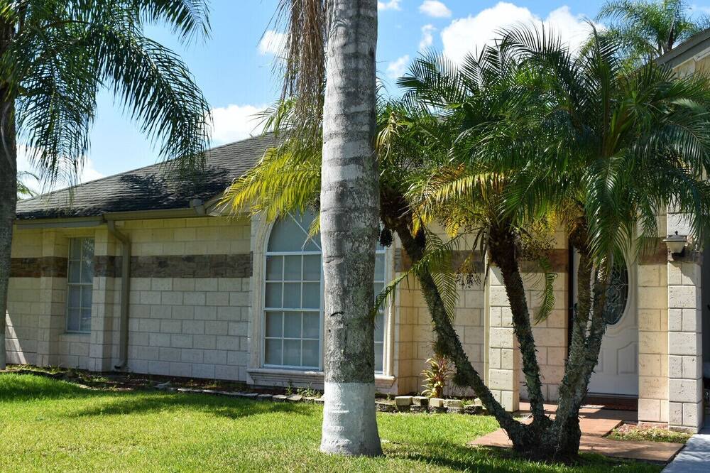 Photo of Others in Poinciana