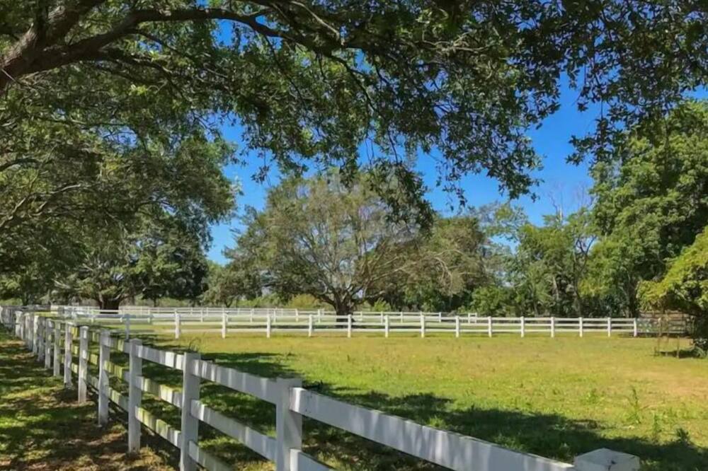 Photo of Outdoor in Davie