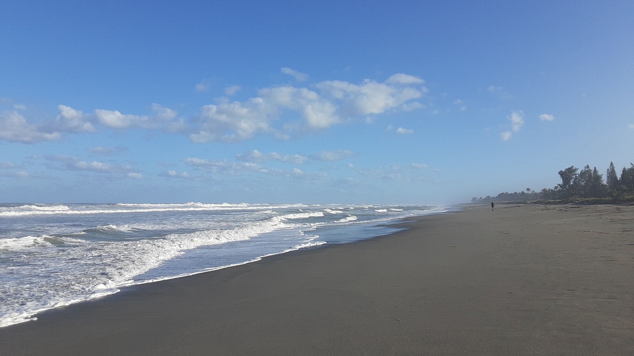 Photo of Others in Hobe Sound