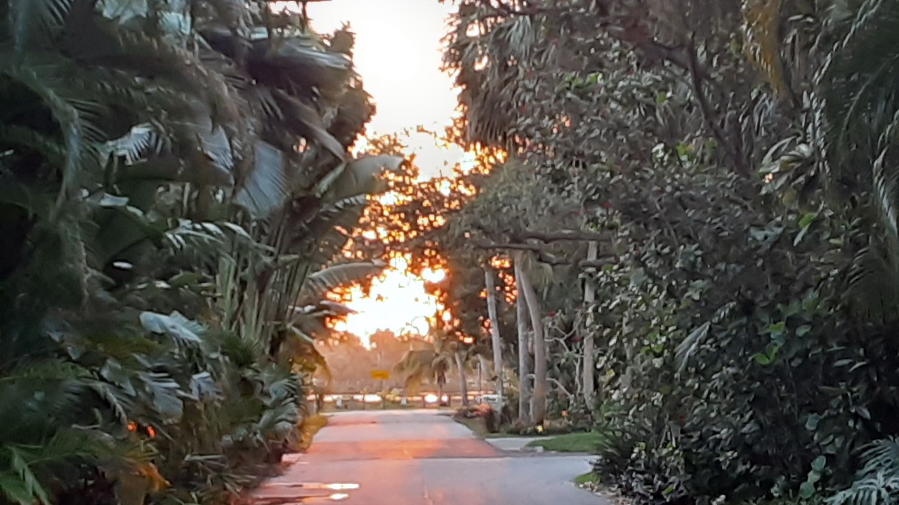 Photo of Outdoor in Hobe Sound