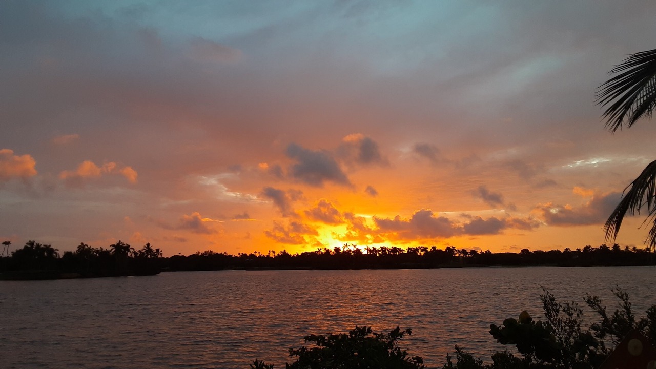 Photo of Others in Hobe Sound