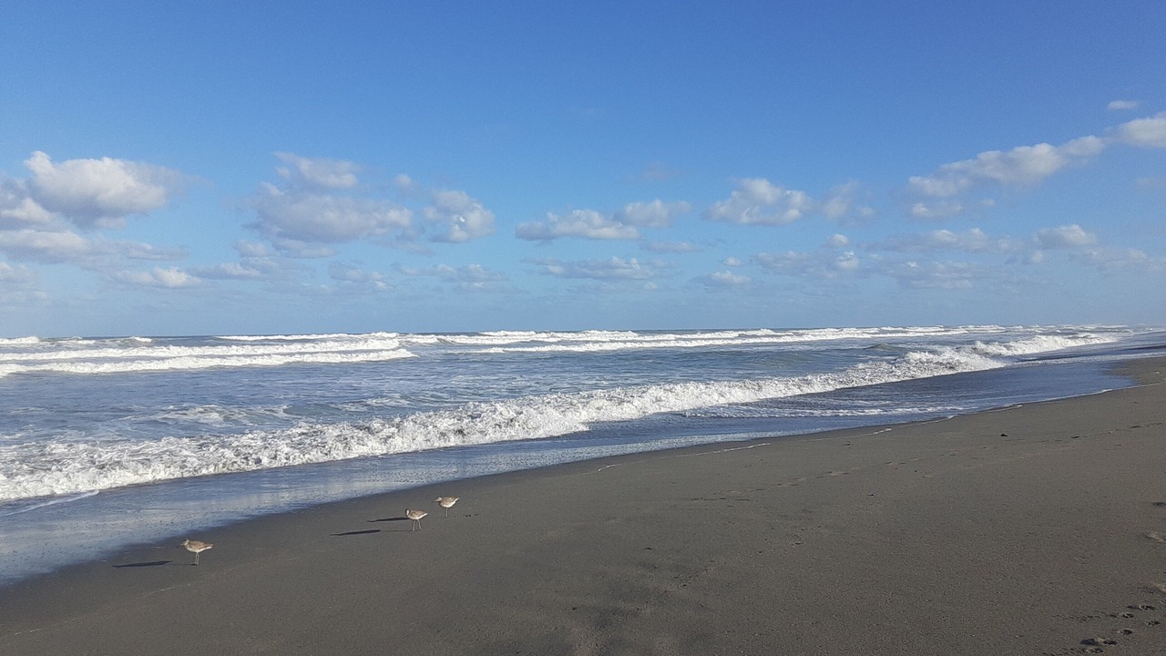 Photo of Others in Hobe Sound