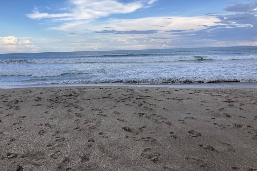Photo of Outdoor in Hutchinson Island South