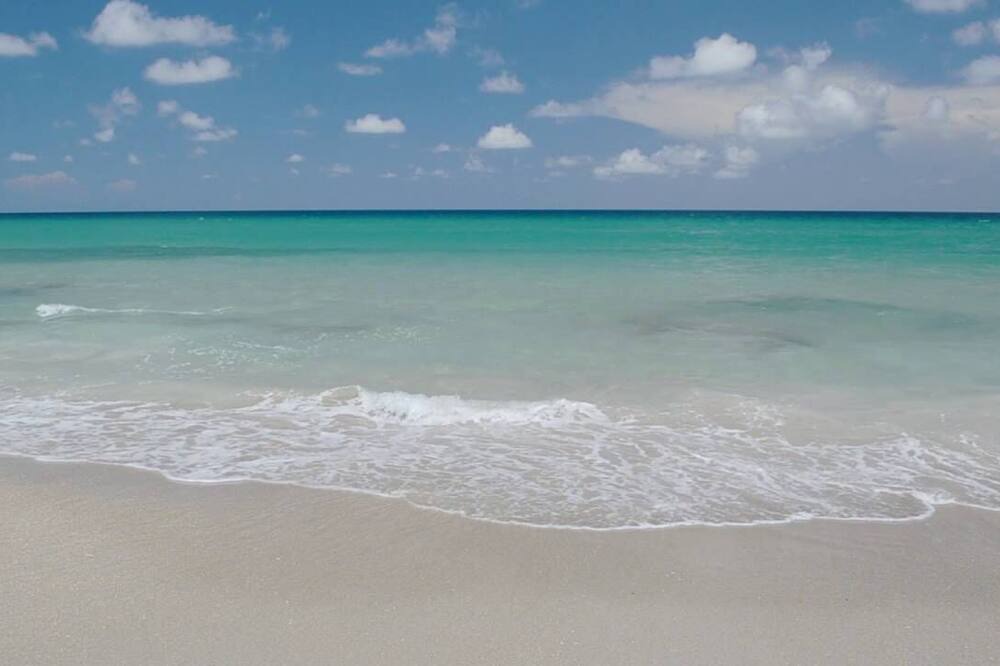 Photo of Others in Hutchinson Island South