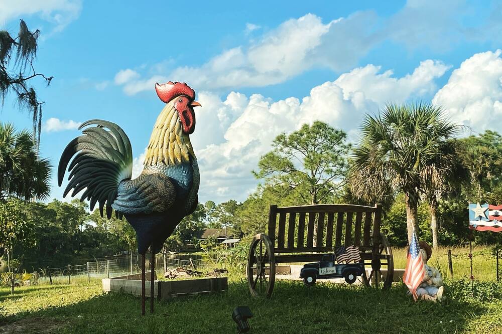 Photo of Outdoor in Clewiston