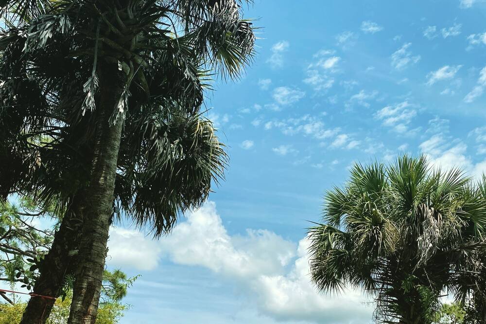 Photo of Outdoor in Clewiston