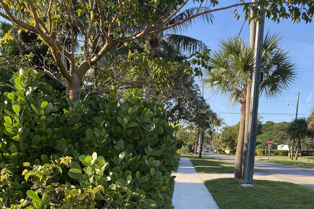 Photo of Outdoor in Hobe Sound