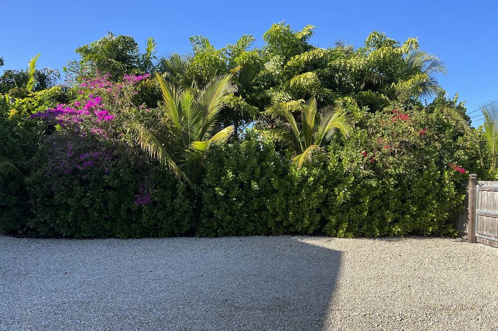 Photo of Outdoor in Hobe Sound