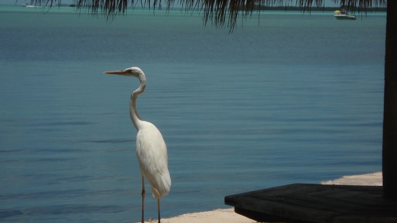 Photo of Outdoor in Rock Harbor