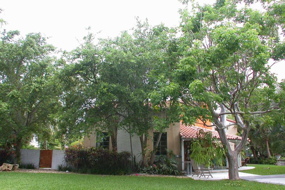 Photo of Outdoor in Seybold