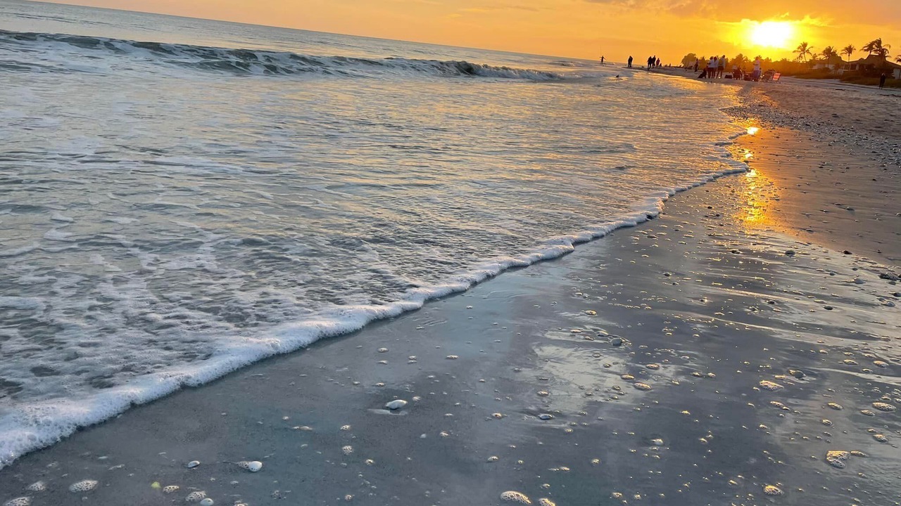 Photo of Others in Sanibel