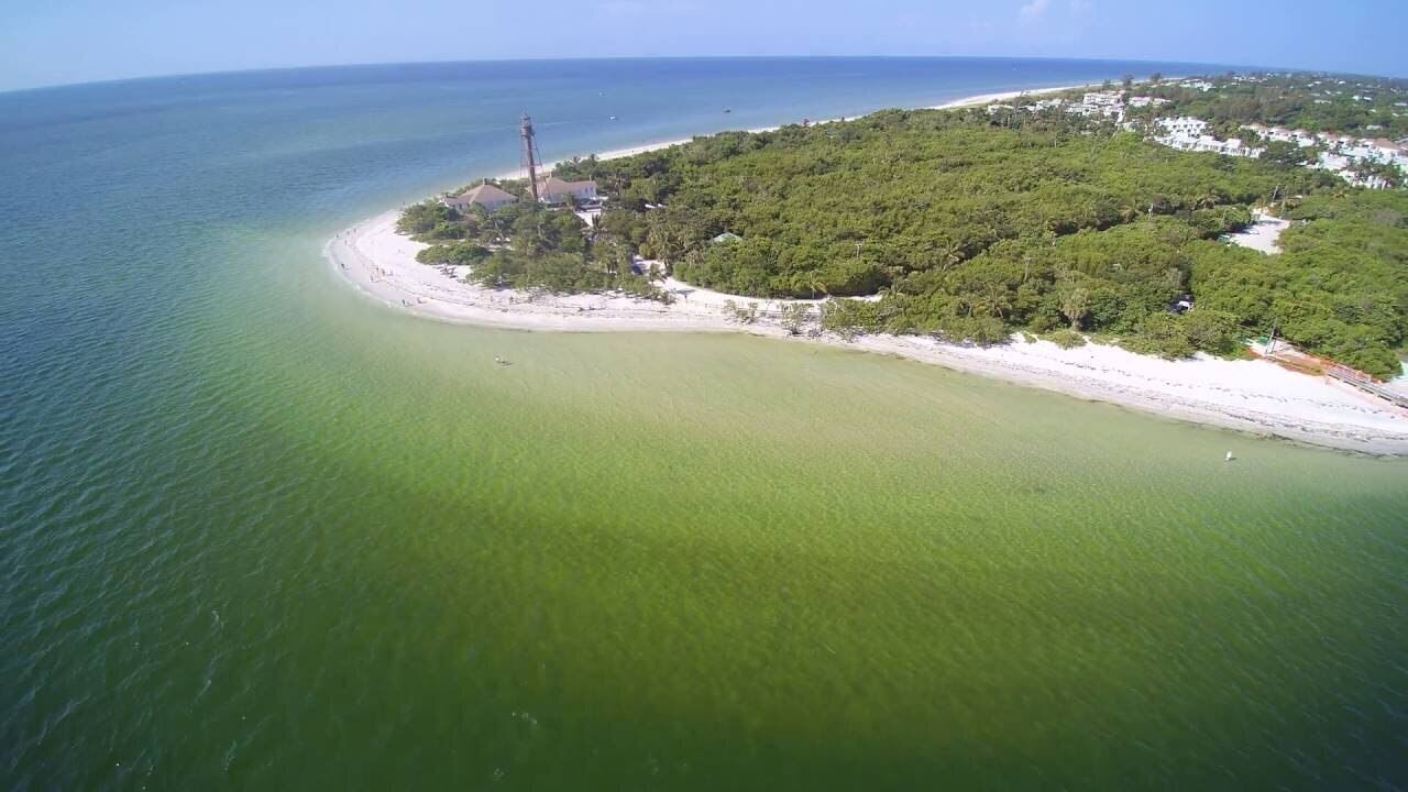 Photo of Outdoor in Sanibel
