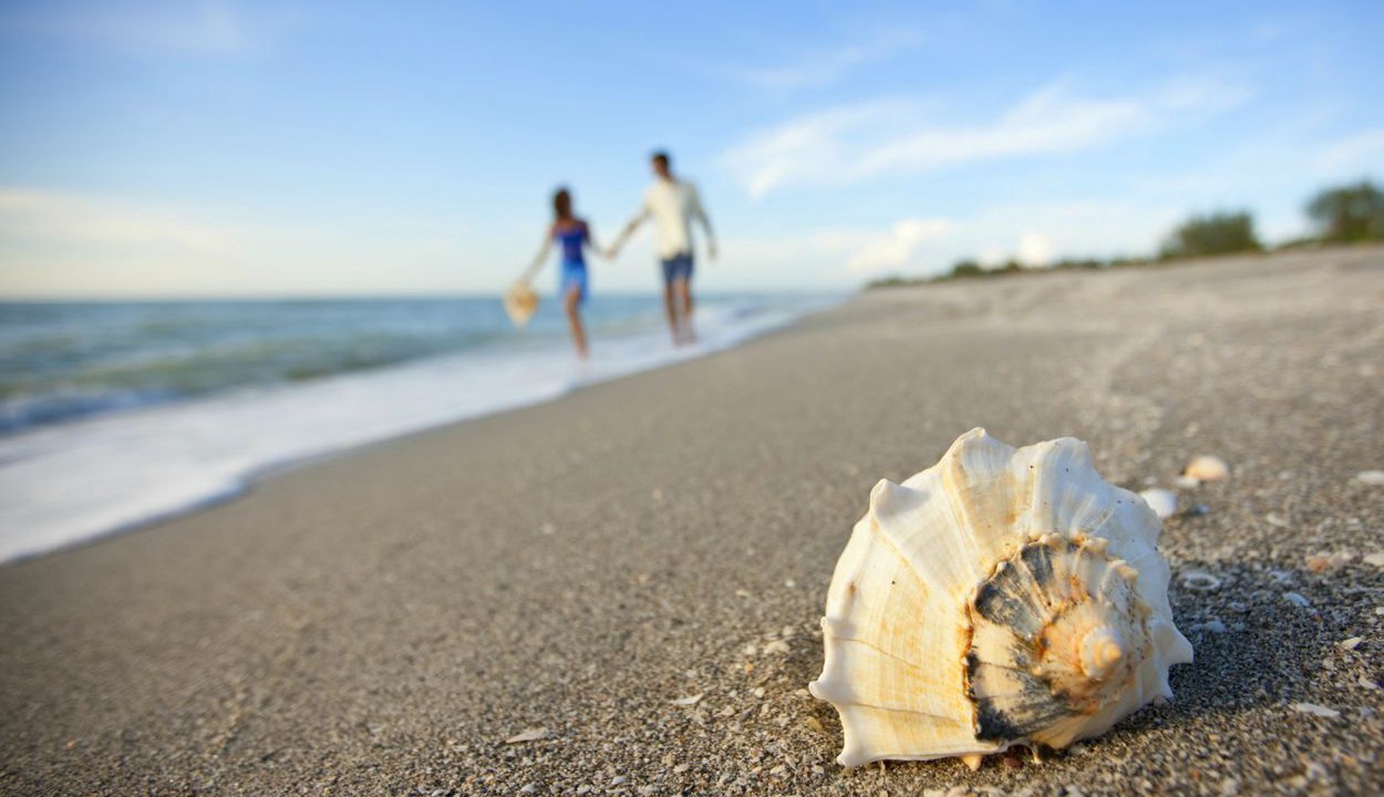 Photo of Others in Sanibel