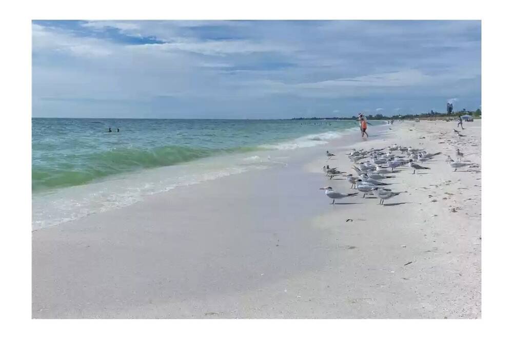 Photo of Others in Osprey