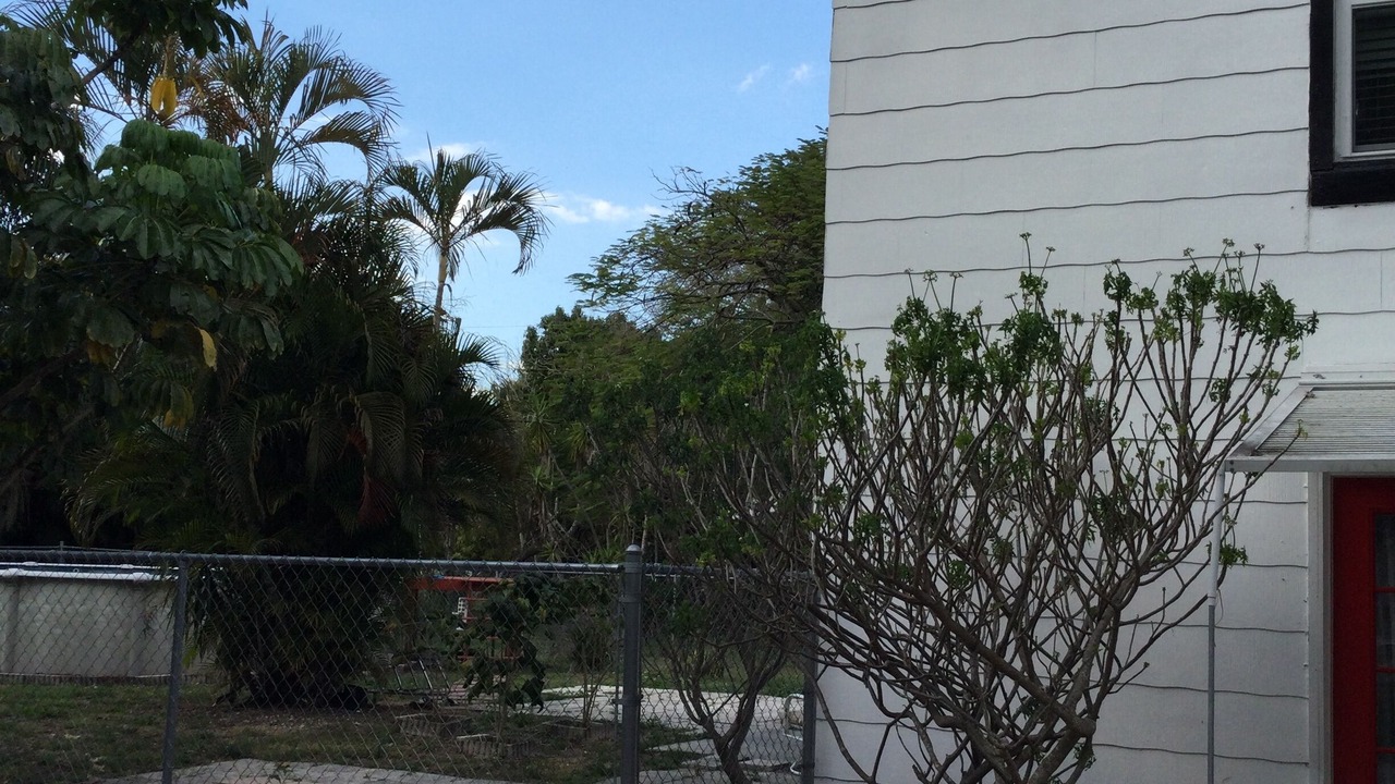 Photo of Outdoor in Fort Myers