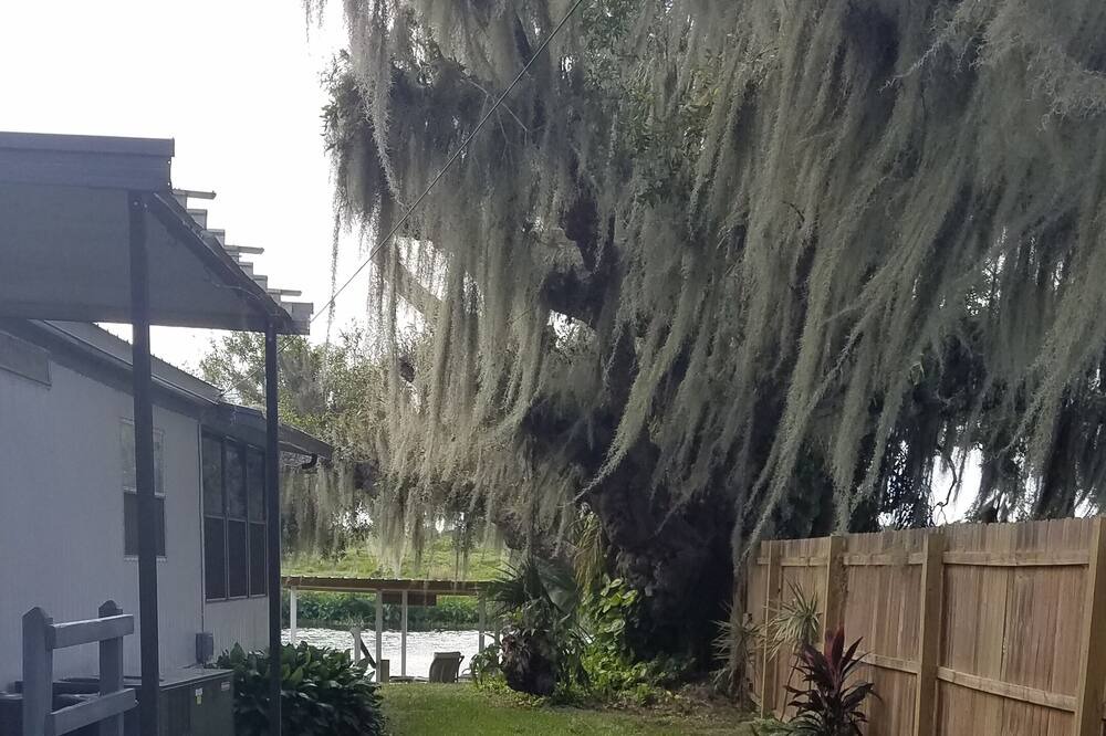 Photo of Others in Okeechobee