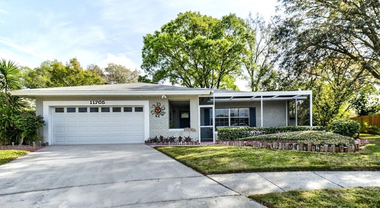 Photo of Outdoor in Carrollwood