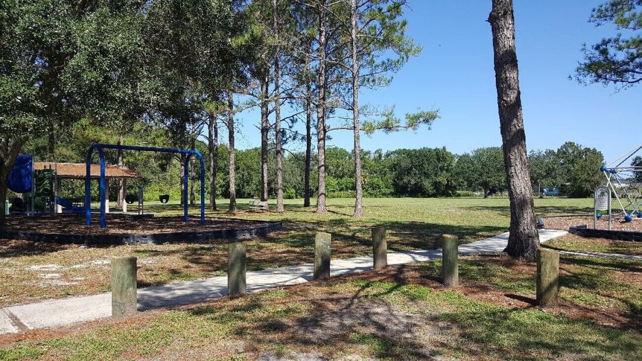 Photo of Outdoor in Carrollwood