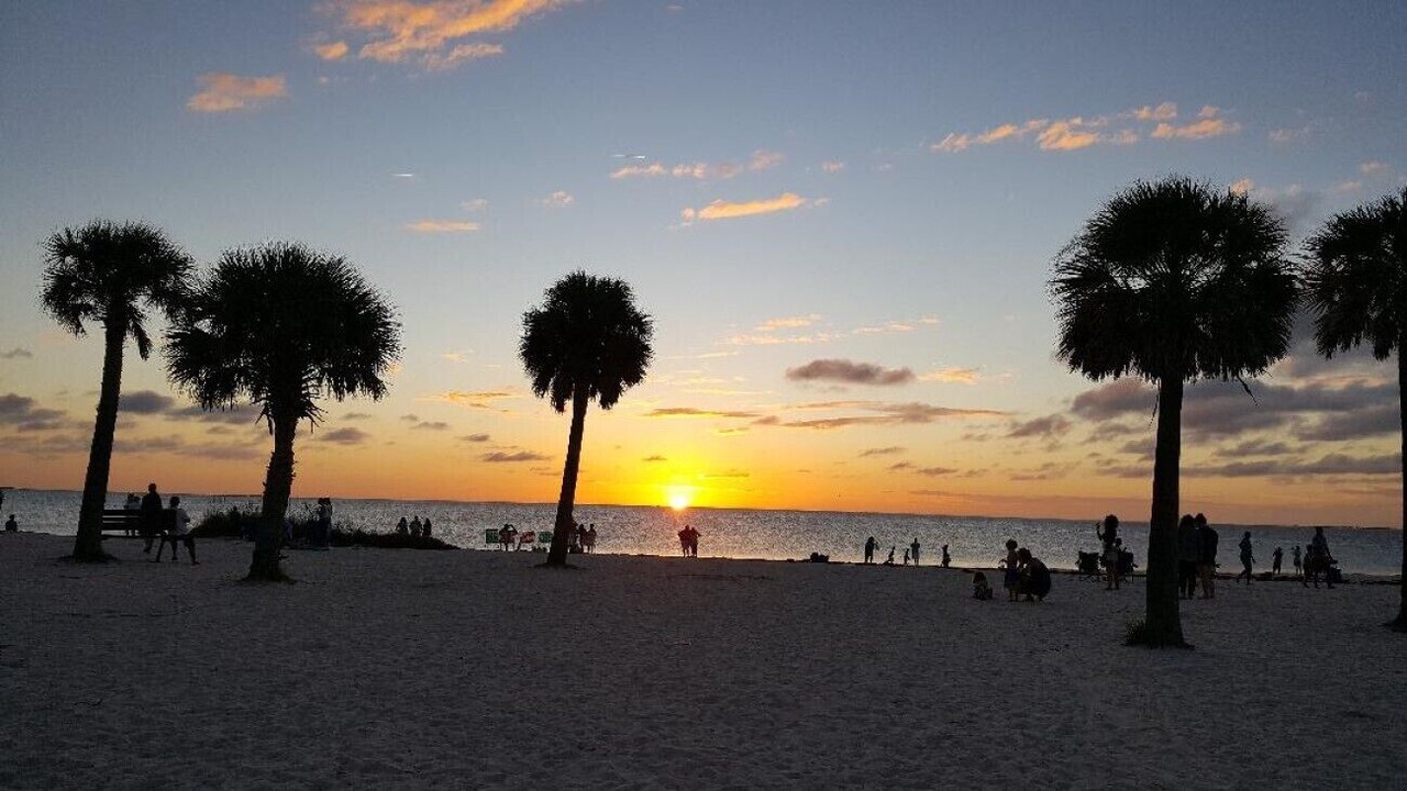 Photo of Others in Carrollwood