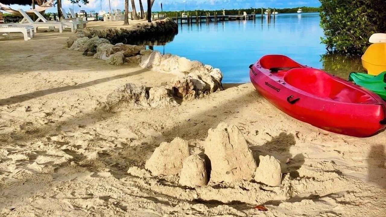 Photo of Others in Tavernier