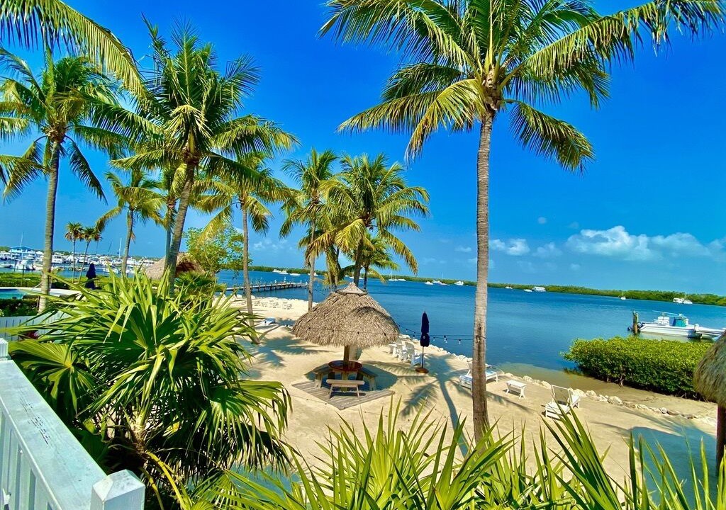Photo of Others in Tavernier