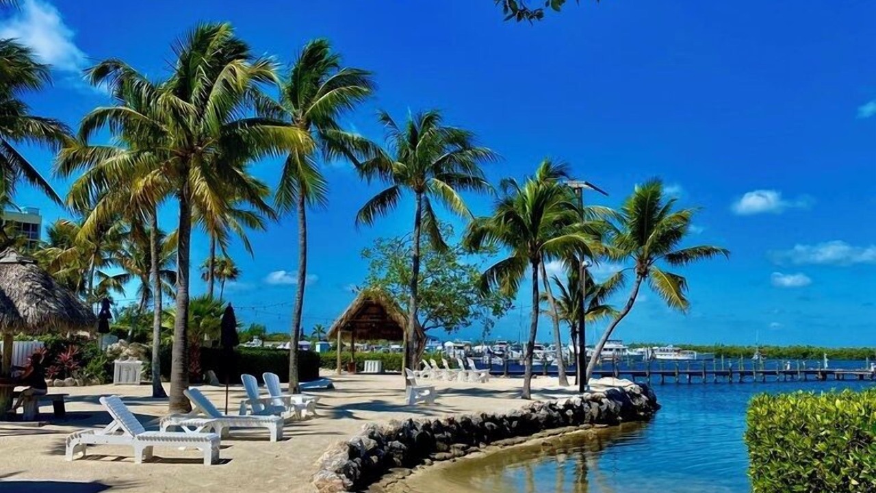 Photo of Others in Tavernier