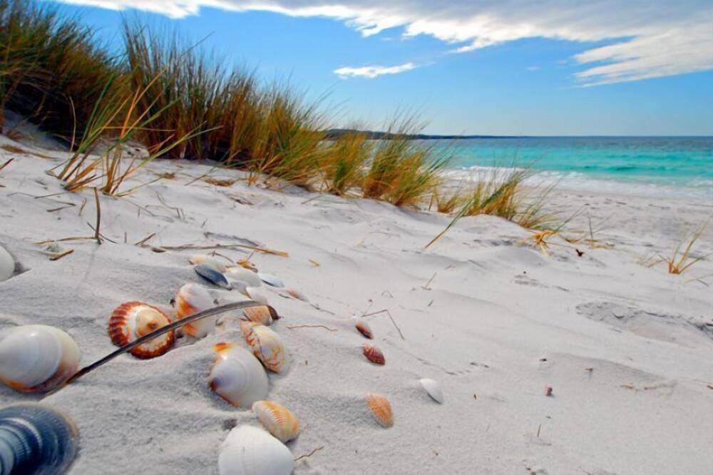 Photo of Outdoor in St. Pete Beach