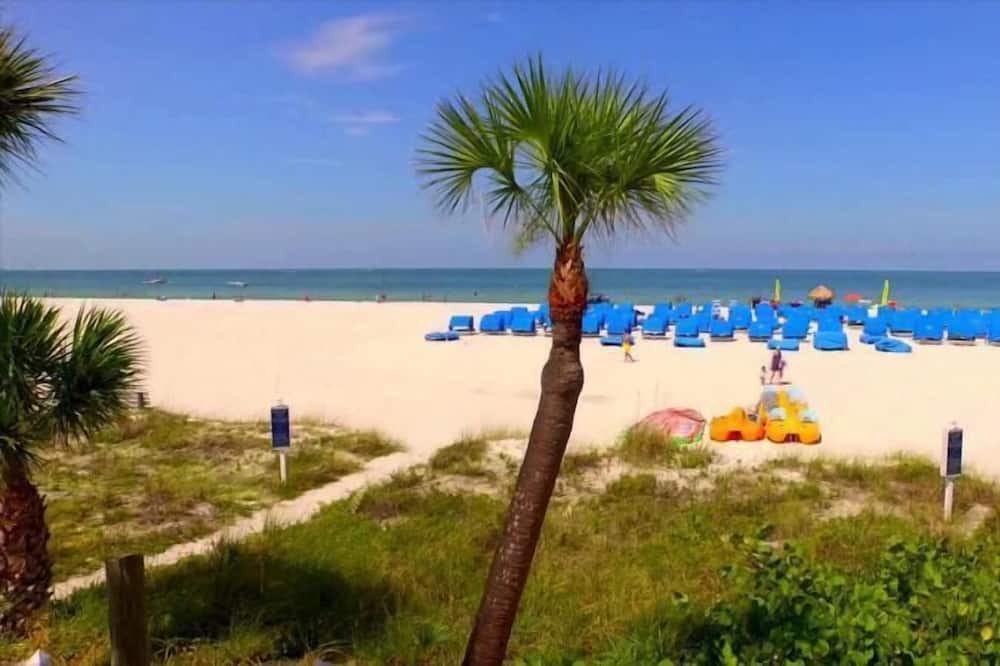 Photo of Outdoor in St. Pete Beach