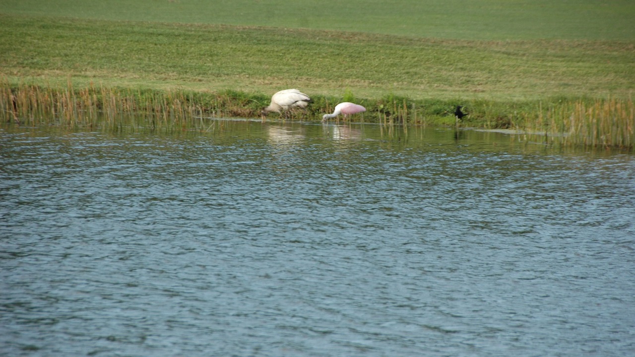 Photo of Others in Hobe Sound