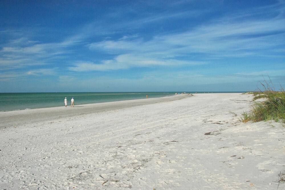 Photo of Others in Sarasota