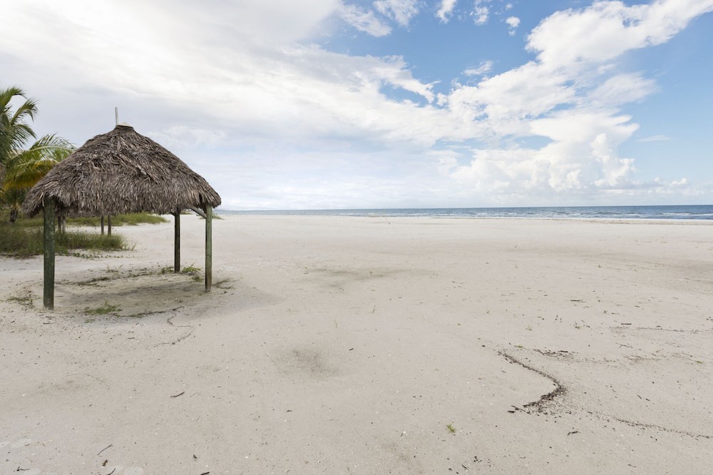 Photo of Others in Fort Myers Beach