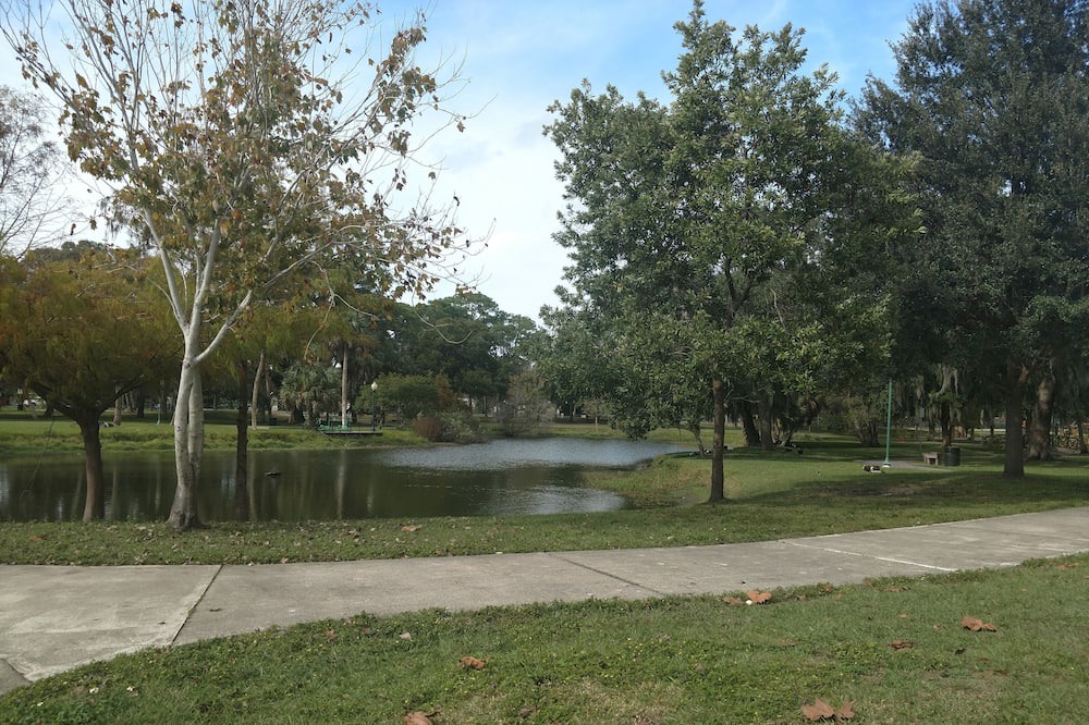 Photo of Outdoor in Gillespie Park