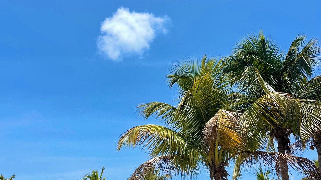 Photo of Outdoor in Islamorada