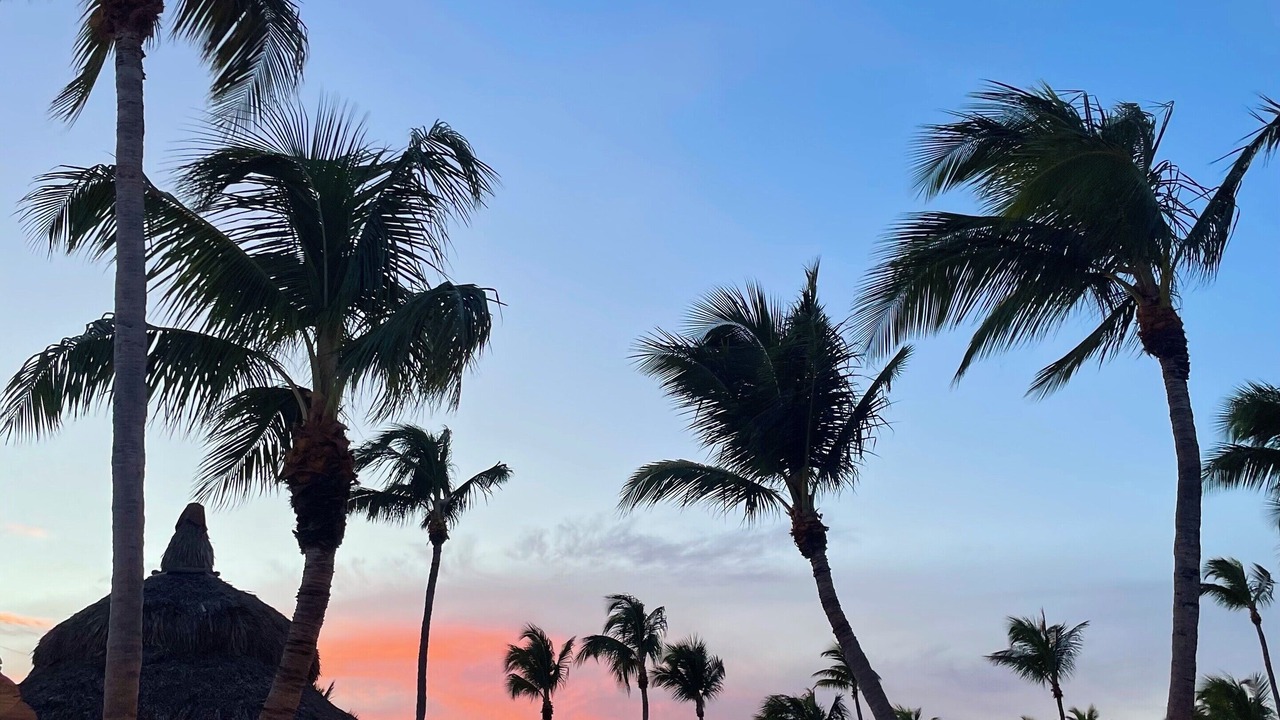 Photo of Outdoor in Islamorada