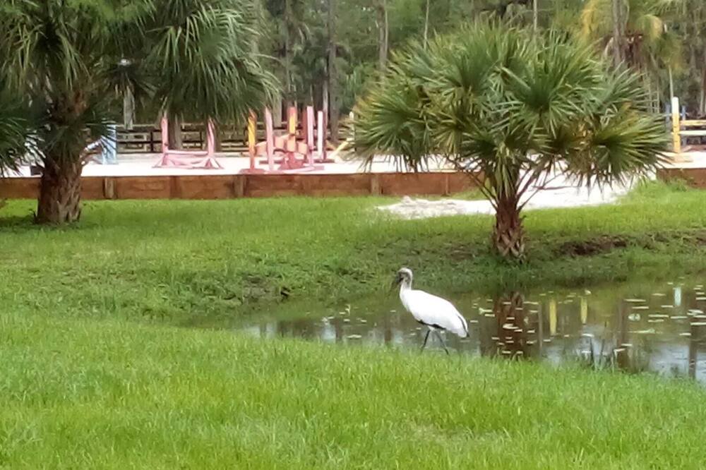Photo of Outdoor in Loxahatchee Groves