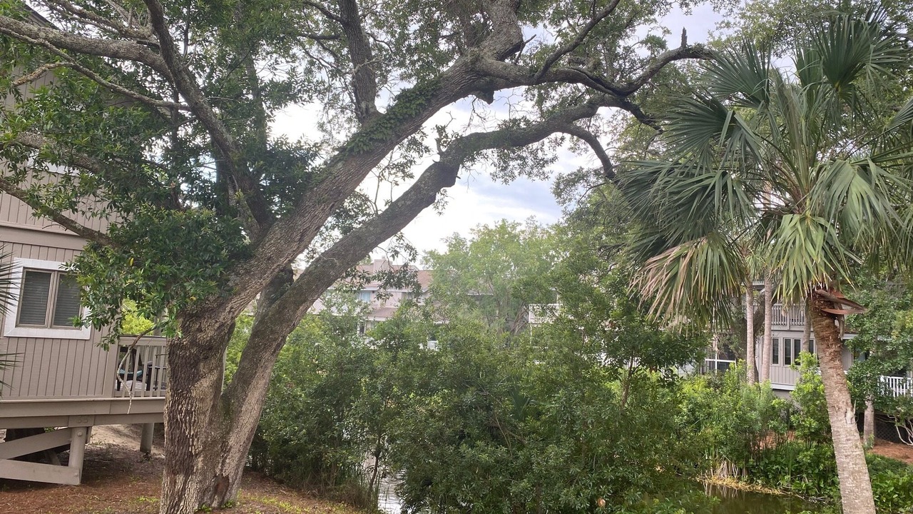 Photo of Outdoor in Isle of Palms