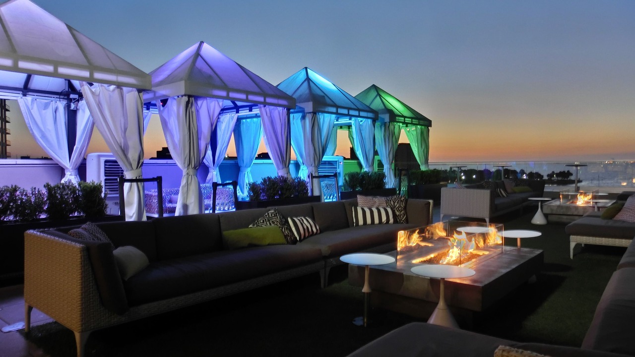 Photo of Outdoor in St. Petersburg - Clearwater