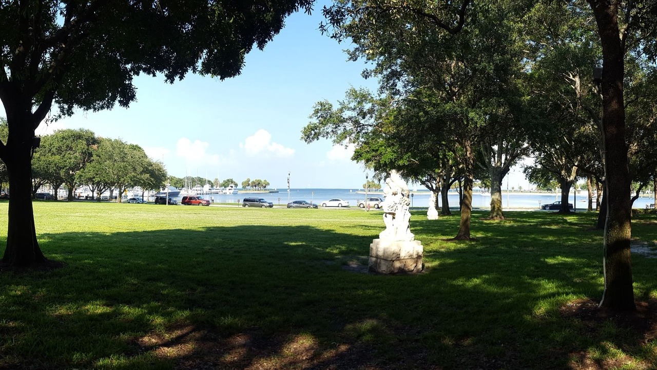 Photo of Others in St. Petersburg - Clearwater