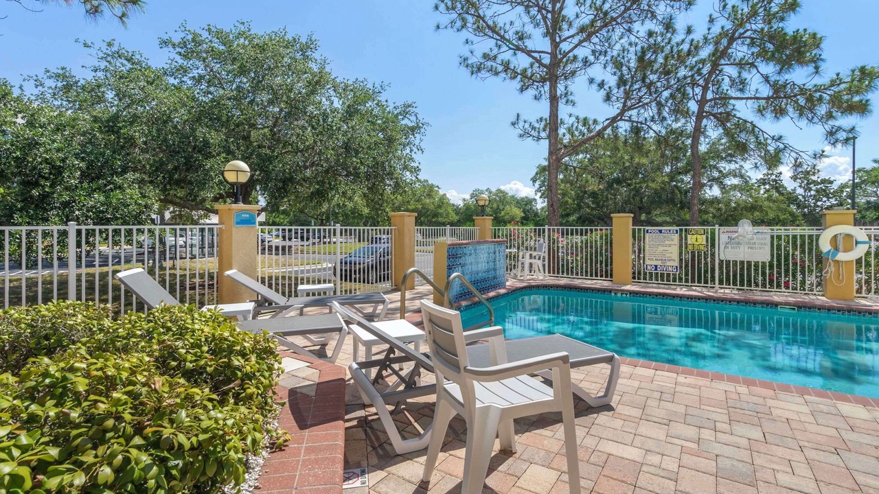 Photo of Outdoor in St. Petersburg - Clearwater