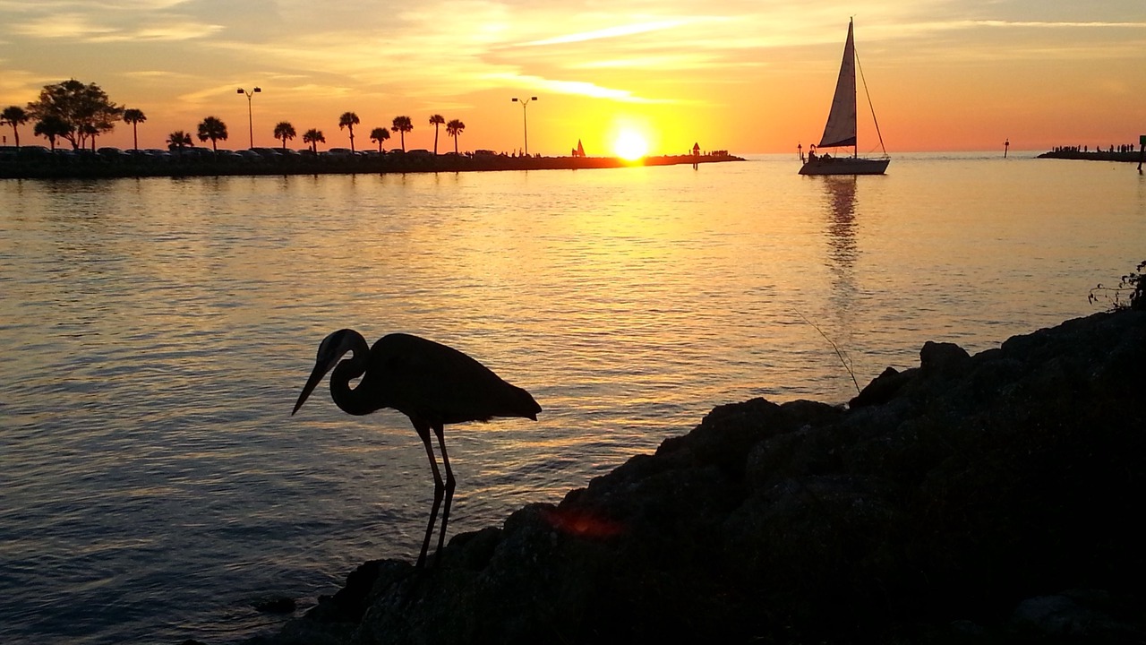 Photo of Others in Nokomis
