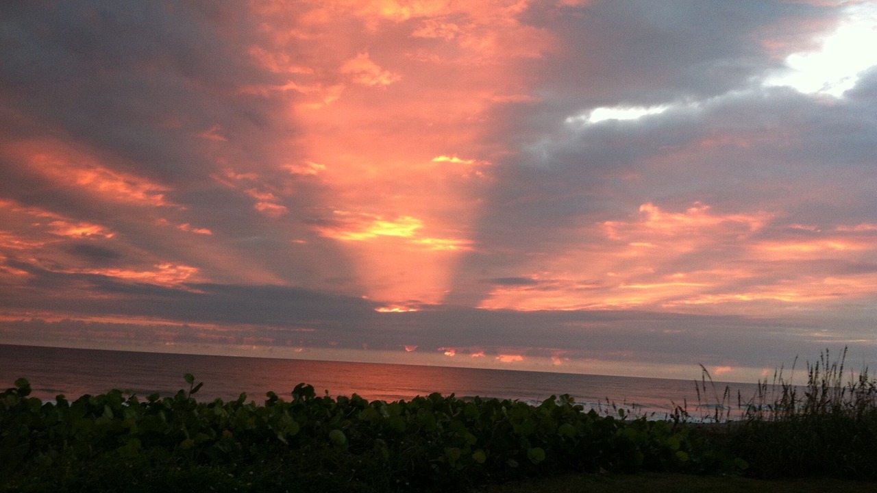 Photo of Others in Indialantic By The Sea