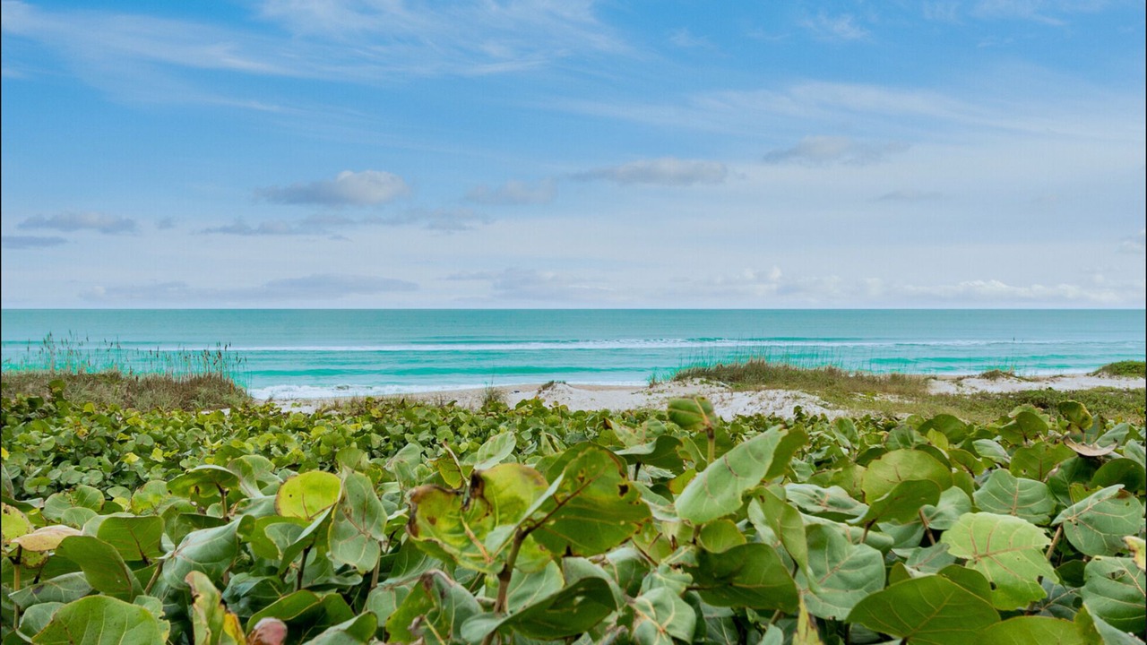 Photo of Others in Indialantic By The Sea