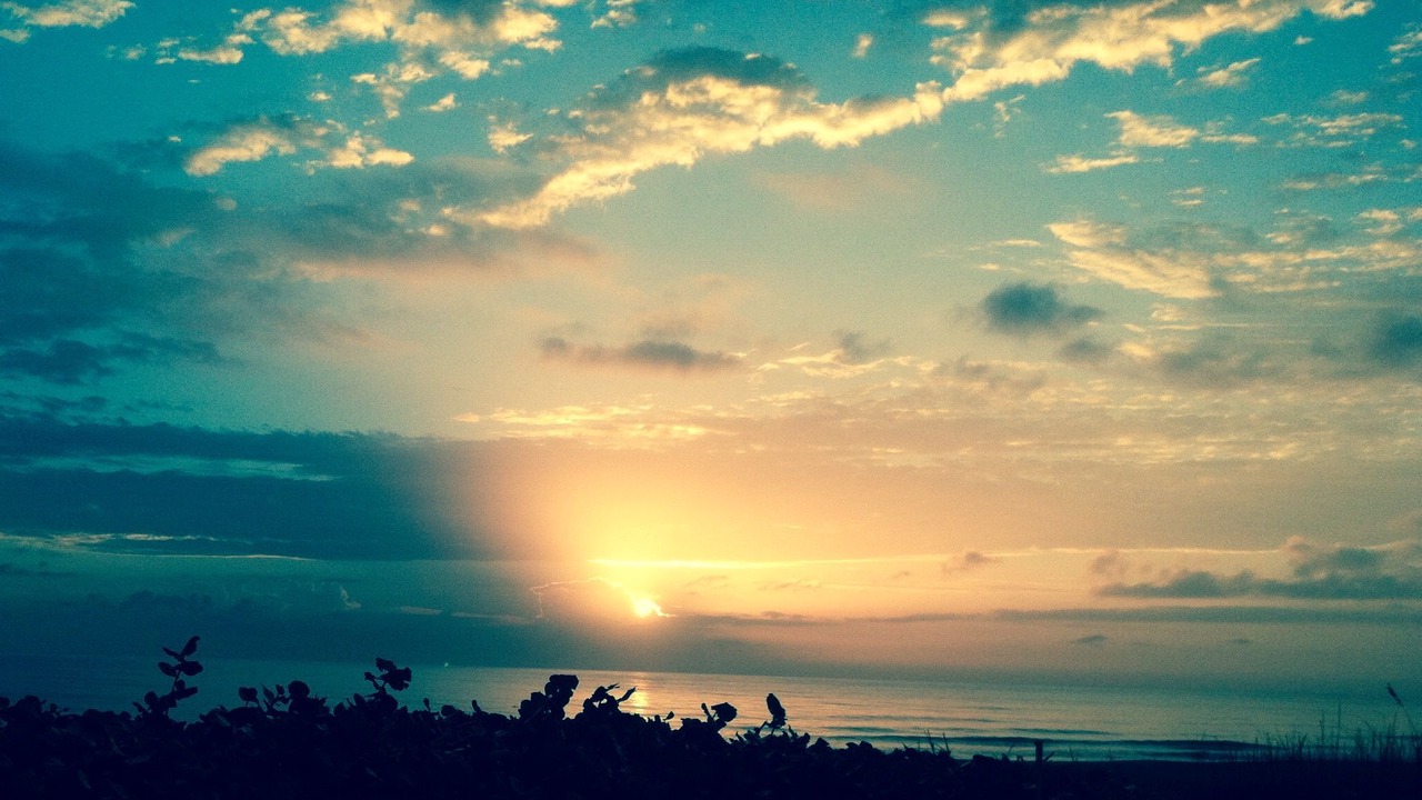 Photo of Others in Indialantic By The Sea